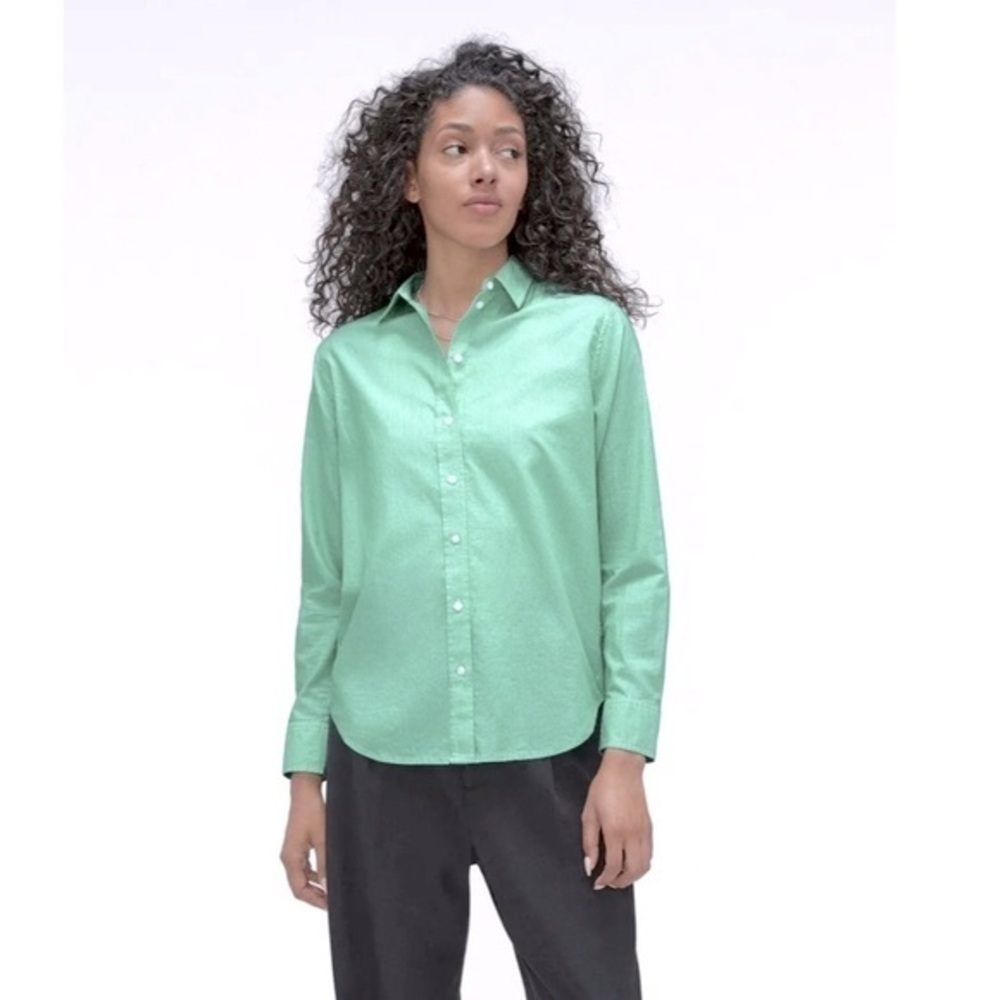 NWT Everlane The Silky Cotton Relaxed Shirt Mint Pinstripe size 2